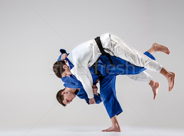 The two judokas fighters fighting men Stock photo © master1305
