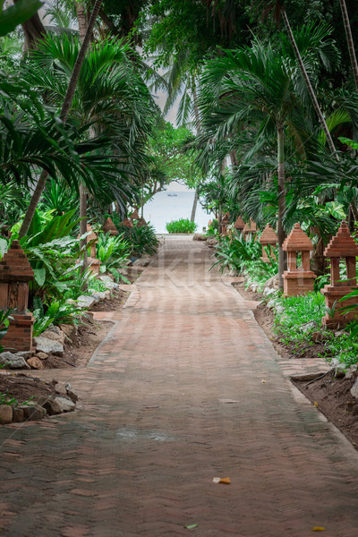 tropical garden and  the road to sea beach Stock photo © master1305