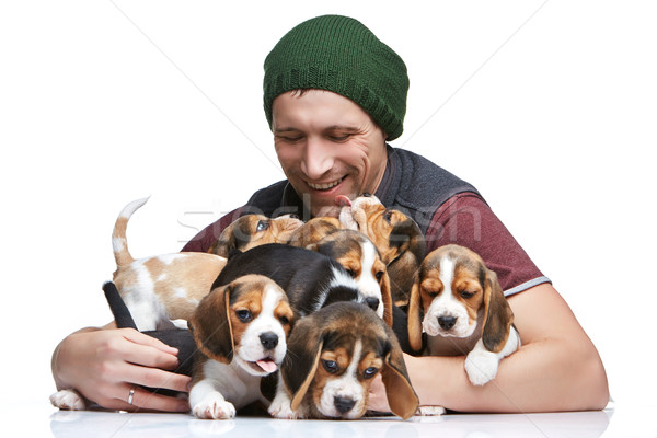 Hombre grande grupo Beagle cachorros feliz Foto stock © master1305