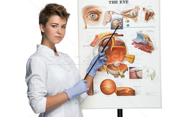 Optician or oculist woman tells about structure of the eye Stock photo © master1305