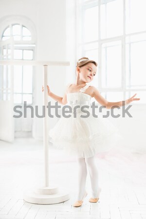 Profesional balerina prezinta alb balerină dansator Imagine de stoc © master1305