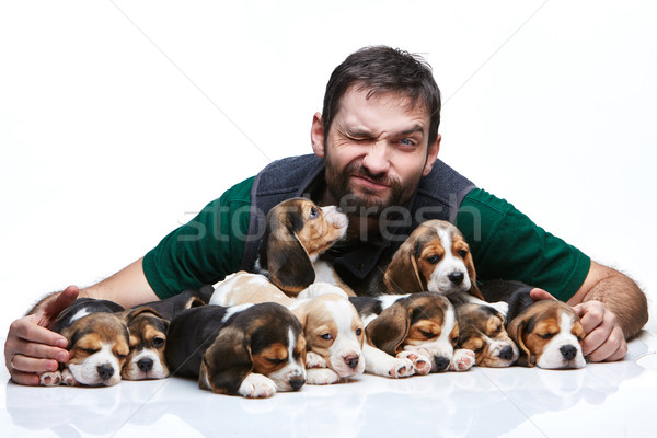 Om mare grup câine de vânătoare pui fericit Imagine de stoc © master1305