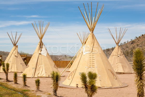 National wigwam of American Indians Stock photo © master1305