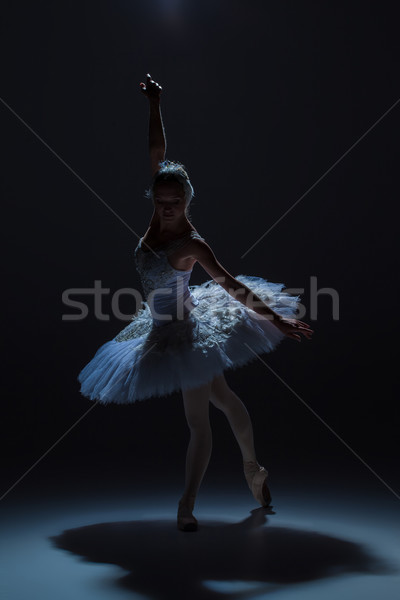 Foto d'archivio: Ritratto · ballerina · balletto · silhouette · ruolo · bianco