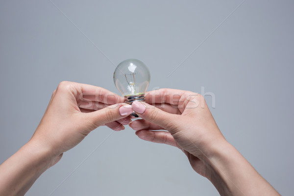 Hands holding an incandescent light bulb on gray background Stock photo © master1305