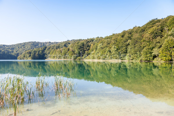 Plitvice lakes of Croatia  Stock photo © master1305