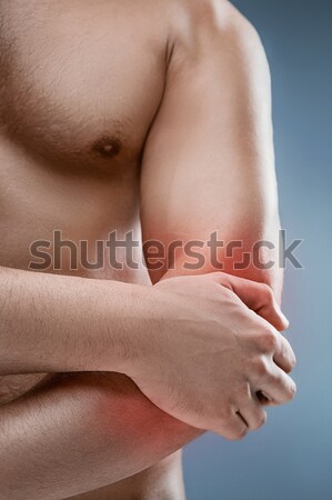 Torso of male body builder on white background Stock photo © master1305