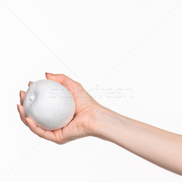 The female hand holding white blank styrofoam oval  Stock photo © master1305