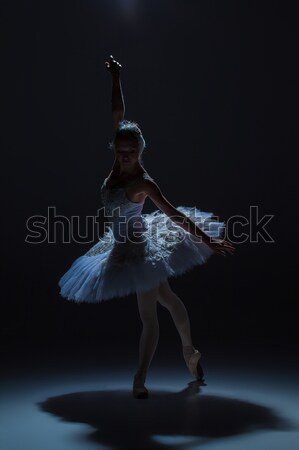 [[stock_photo]]: Portrait · ballerine · ballet · silhouette · rôle · blanche