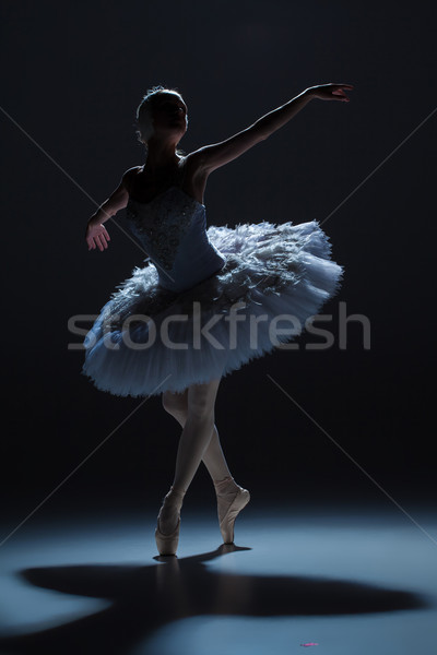 Foto d'archivio: Ritratto · ballerina · balletto · silhouette · ruolo · bianco