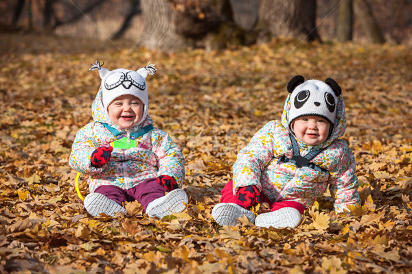 Kettő kicsi lánycsecsemők ül őszi levelek mosoly Stock fotó © master1305