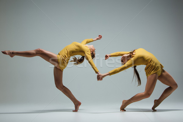 The two modern ballet dancers  Stock photo © master1305