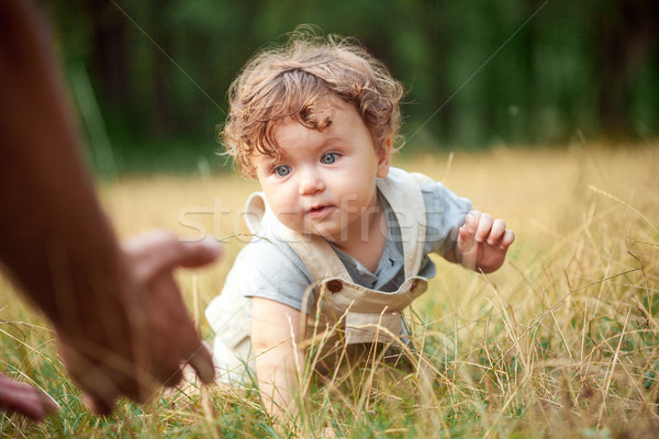 The little baby or year-old child on the grass in sunny summer day. Stock photo © master1305