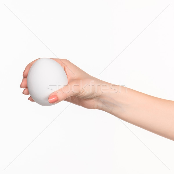 Weiblichen Hand halten weiß oval richtig Stock foto © master1305