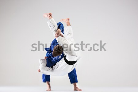 The two judokas fighters fighting men Stock photo © master1305