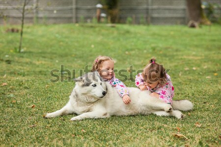 The two little baby girls playing with dog against green grass Stock photo © master1305