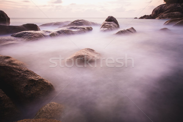 Wal strand roze zee Thailand achtergrond Stockfoto © master1305