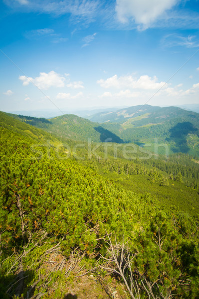 Frumos munţi verde Ucraina cer Imagine de stoc © master1305