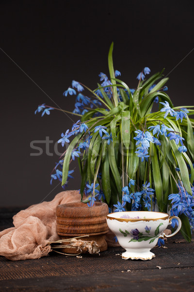 Tea with  lemon and bouquet of  blue primroses on the table Stock photo © master1305