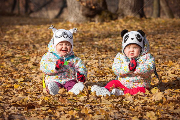 Dos pequeño sesión hojas de otoño sonrisa Foto stock © master1305