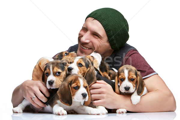 Foto stock: Homem · grande · grupo · bigle · filhotes · de · cachorro · feliz