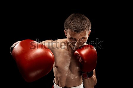 Young Boxer boxing  Stock photo © master1305