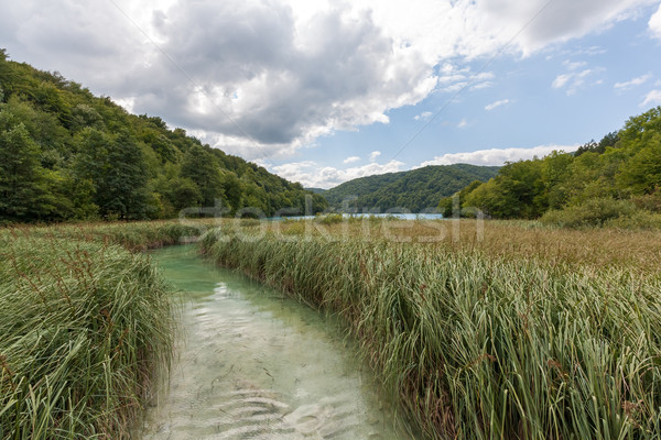 Plitvice lakes of Croatia  Stock photo © master1305