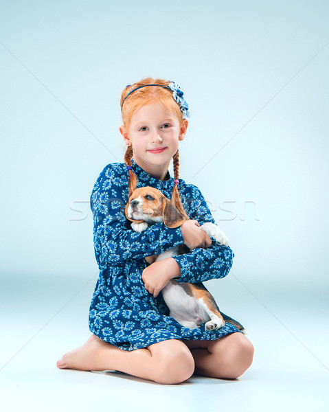 The happy girl and a beagle puppie on gray background Stock photo © master1305