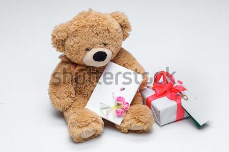 Teddy Bears couple with red heart. Valentines Day concept. Stock photo © master1305