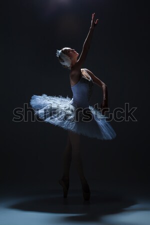 Foto d'archivio: Ritratto · ballerina · balletto · silhouette · ruolo · bianco