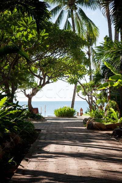 tropical garden and  the road to sea beach Stock photo © master1305