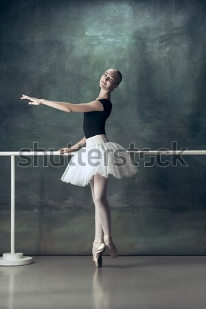 肖像 クラシカル バレリーナ 白いドレス 黒 少女 ストックフォト © master1305