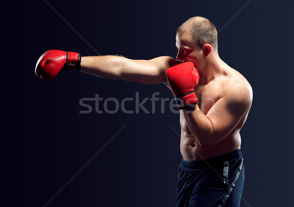 小さな ボクサー ボクシング 赤 手袋 黒 ストックフォト © master1305