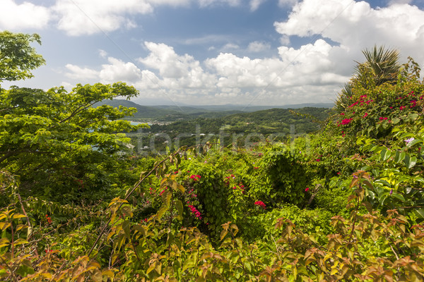 Caribbean beach on the northern coast of Jamaica Stock photo © master1305