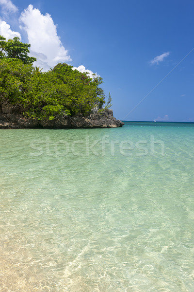 Strand tropisch eiland Blauw water hemel blauwe hemel Stockfoto © master1305