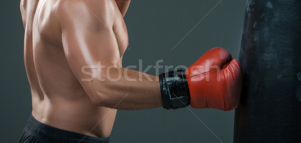 Young Boxer boxing  Stock photo © master1305