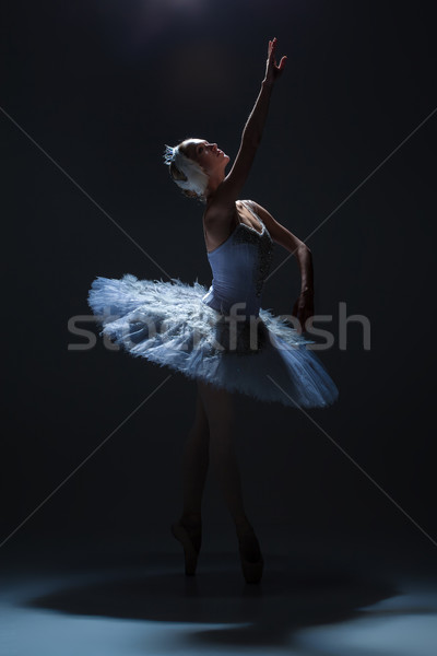 Portrait of the ballerina in ballet tatu on dack background Stock photo © master1305