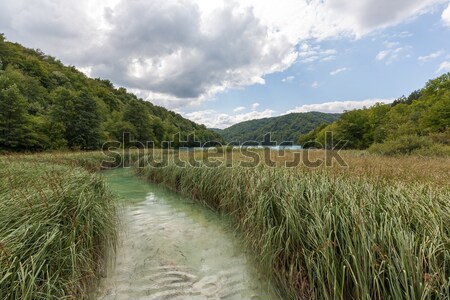 Plitvice lakes of Croatia  Stock photo © master1305
