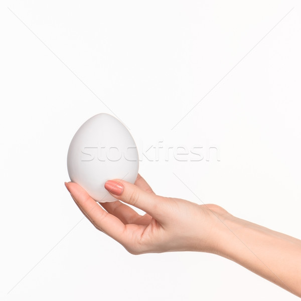 The female hand holding white blank styrofoam oval  Stock photo © master1305