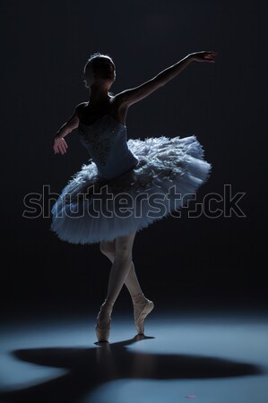 Portrait of the ballerina in ballet tatu on dack background Stock photo © master1305