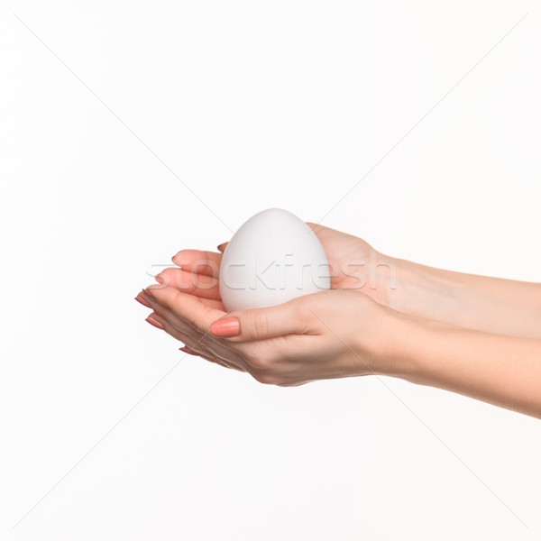 Hands holding a egg on white background Stock photo © master1305