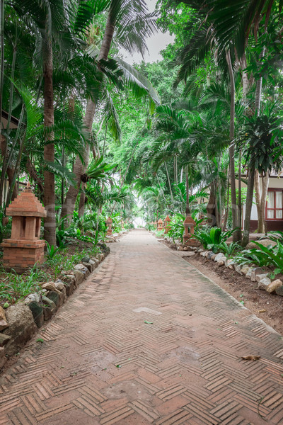 Stock photo: tropical garden and  the road to sea beach