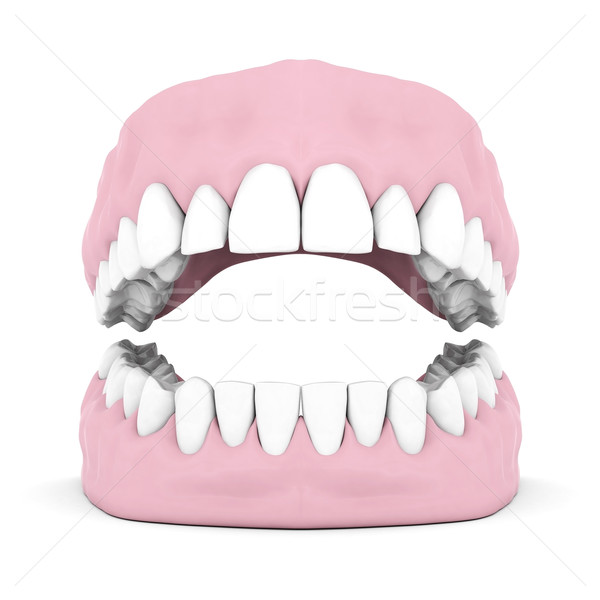 Zahnersatz isoliert weiß medizinischen Technologie Mund Stock foto © mastergarry