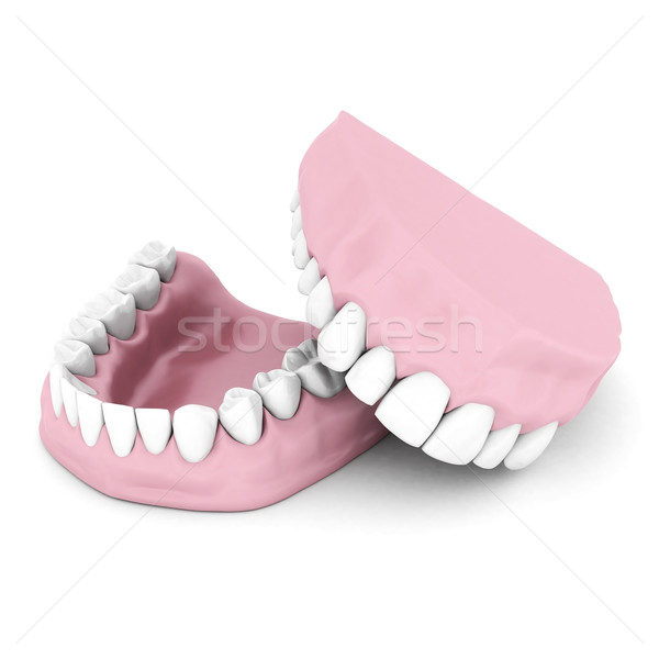 Dentures Stock photo © mastergarry
