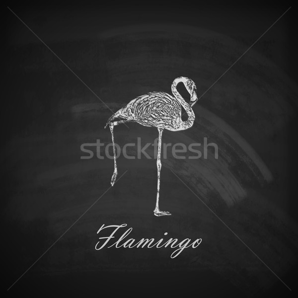 Vector Illustration Of A Chalk Flamingo On The Blackboard Texture Vector Illustration C Maksim Harshchankou Maximmmmum 5257984 Stockfresh