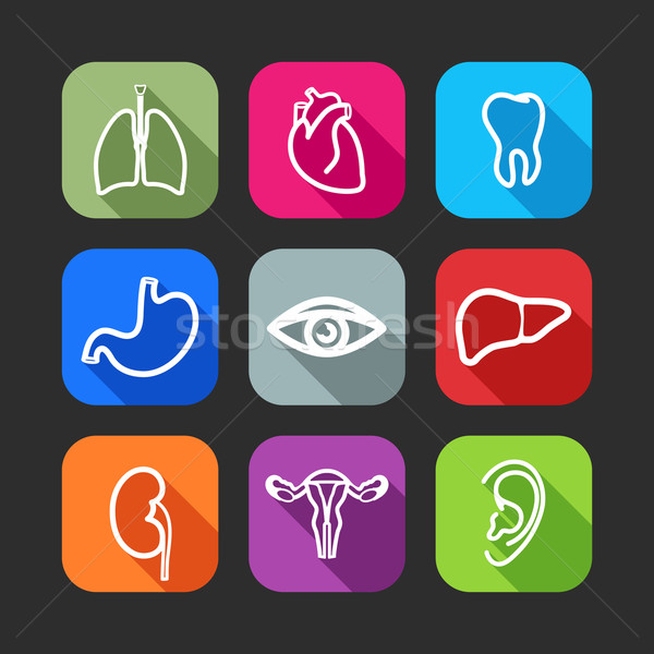 Stock photo: flat icons for web and mobile applications with human organs (flat design with long shadows) 