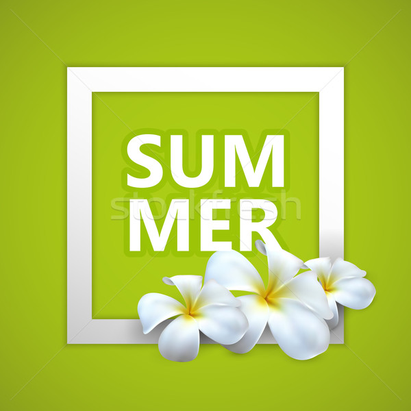Summer label with exotic frangipani flowers Stock photo © maximmmmum