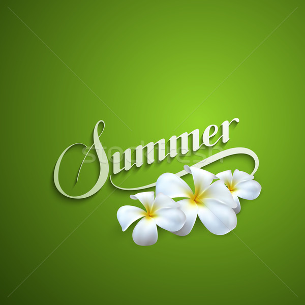 handwritten Summer retro label Stock photo © maximmmmum