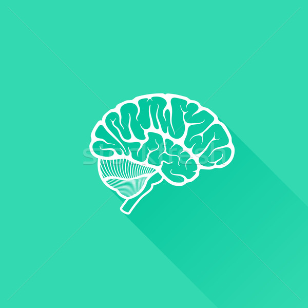 vintage vector illustration of human brain with long shadow  Stock photo © maximmmmum