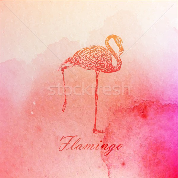 vector vintage illustration of a pink watercolor flamingo on the old paper texture Stock photo © maximmmmum